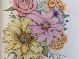 whatsapp image 2026-03-12 at 12.00.14